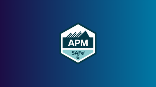 Agile Product Management (APM)